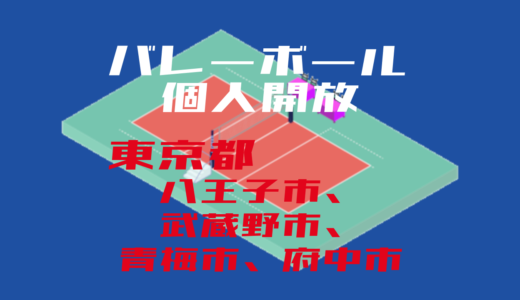 【八王子市、武蔵野市、青梅市、府中市】バレーボール個人開放【2022年度版】