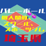 埼玉県バレーボール個人開放、スクール、スポーツジム