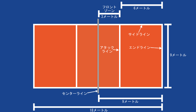 コートサイズなど