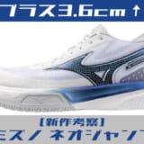 ミズノネオジャンプ