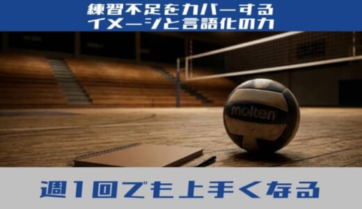 週1回のバレーでも必ず上手くなる！社会人のための上達メソッドと「言語化」の力